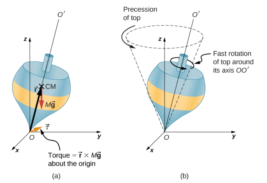 , What are Gyroscopes and how to analyse their torque?